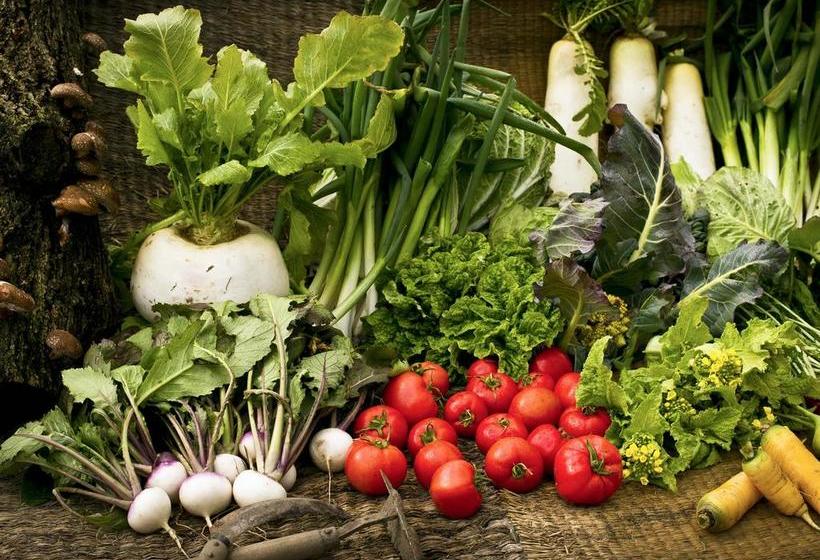 ホテル Satoyama No Kyujitsu Kyoto Keburikawa