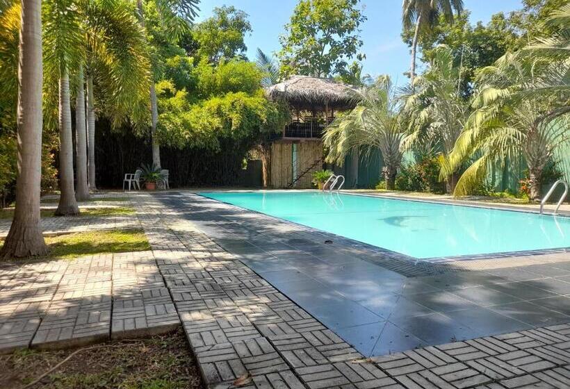 酒店 Seyara Holiday Resort