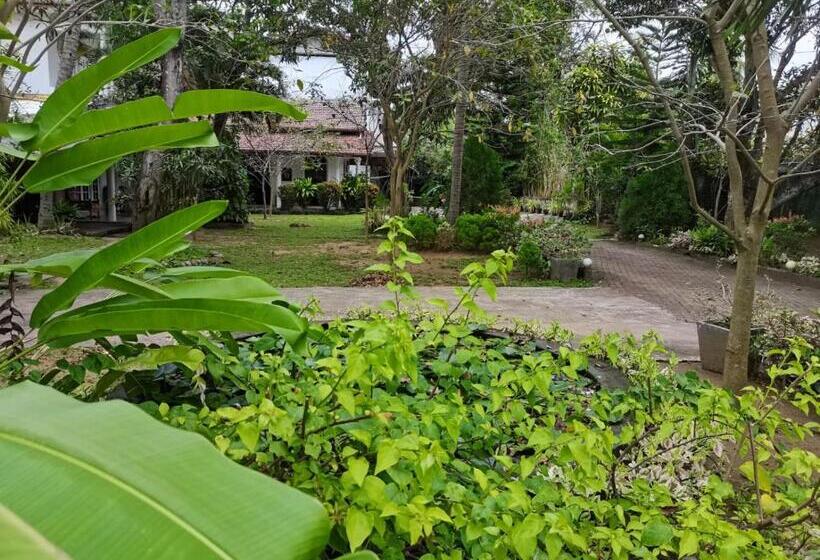 酒店 Seyara Holiday Resort