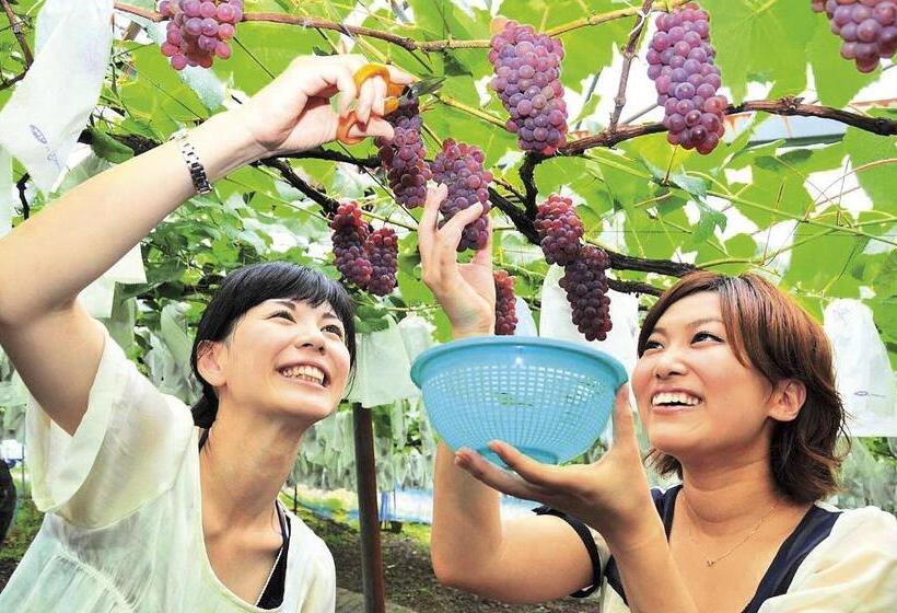 ホテル Shorenji Lake