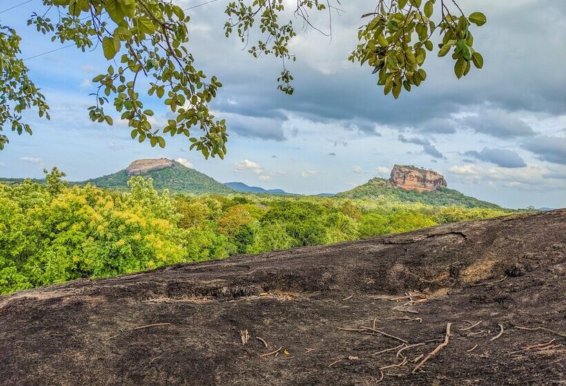 酒店 Sigiriya Rock Gate Tree House