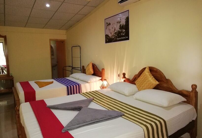 酒店 Sigiriya Rock Gate Tree House