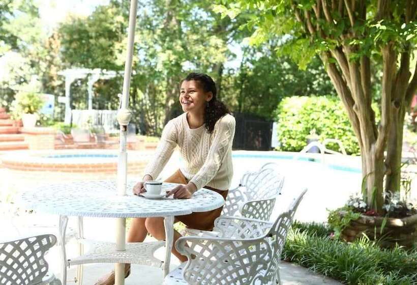 فندق Stone Mountain Manor