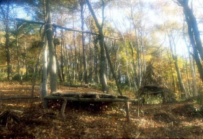 בית מלון כפרי Sugadairakogen Onsen