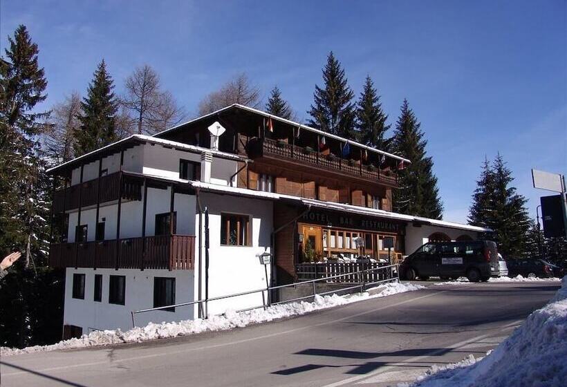 فندق Vecchia America