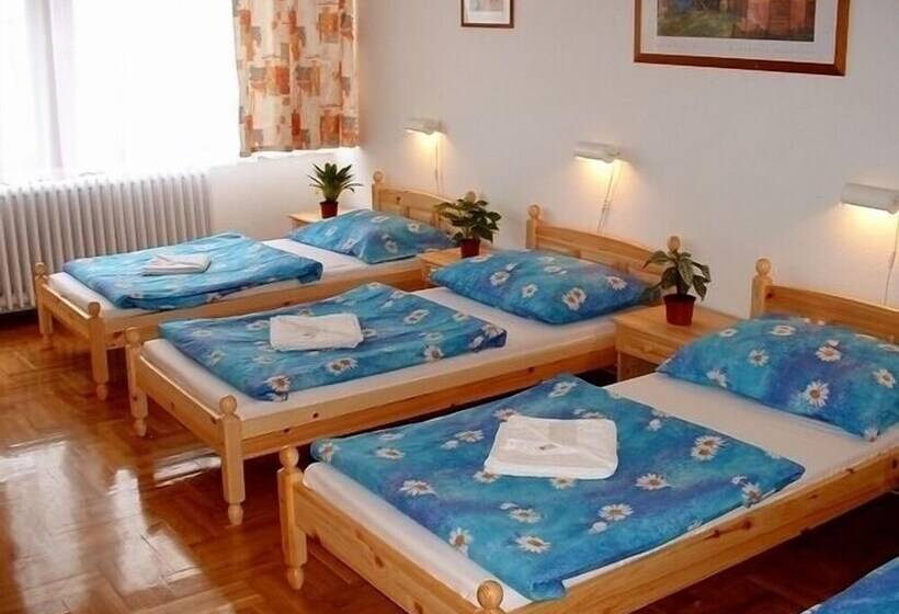 בית מלון כפרי Hostel Lakeside