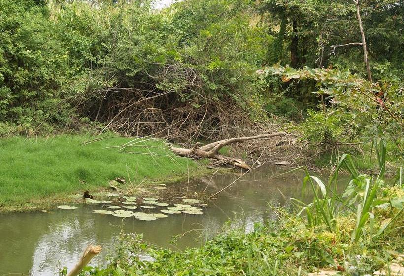 ホテル Welimaluwa Resort