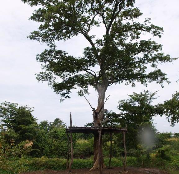 ホテル Welimaluwa Resort