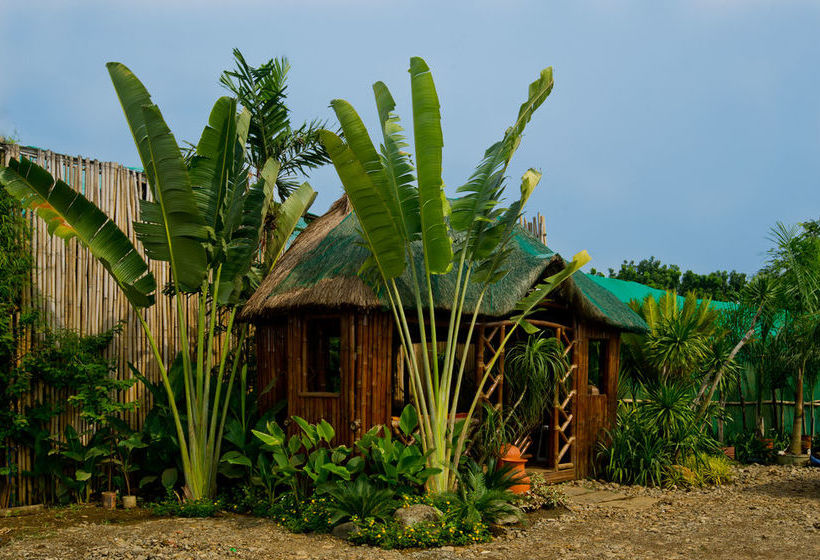 Пансион Blessie's Bed & Breakfast