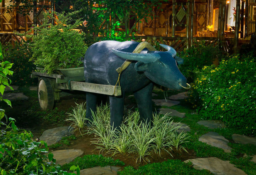 Пансион Blessie's Bed & Breakfast