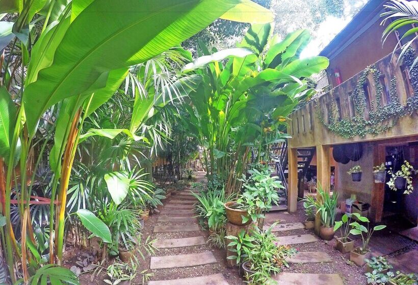 펜션 Breeze Of Pai Guesthouse