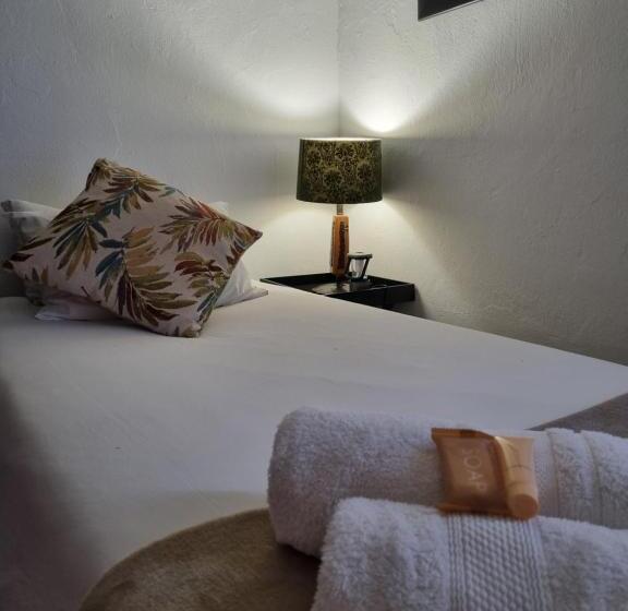 بنسيون Gorgeous Gecko Guesthouse