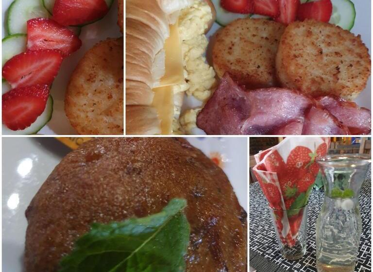 بنسيون Gorgeous Gecko Guesthouse