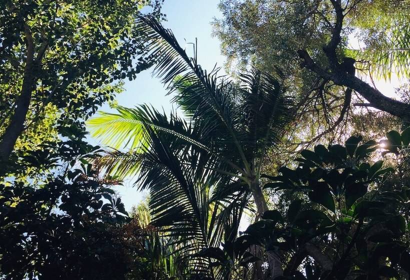 بنسيون Pumleni Guesthouse