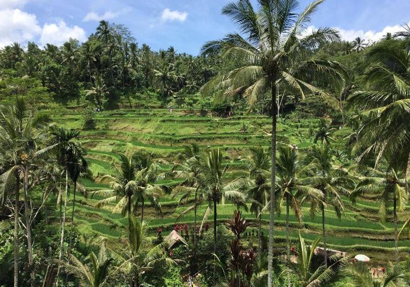 פנסיון Ubud Sawah Scenery Villa And Homestay