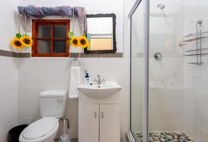 פנסיון Zesty Guesthouse