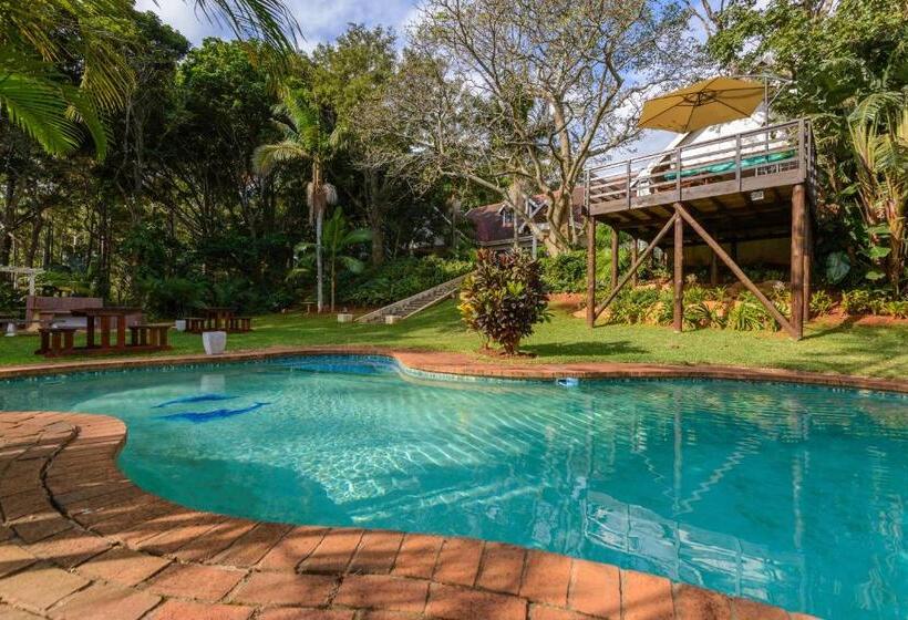 פנסיון Zesty Guesthouse