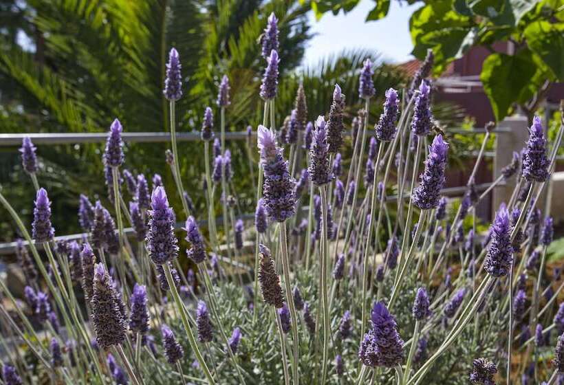 Sunset Paradise Resort