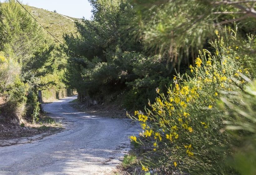 Sunset Paradise Resort