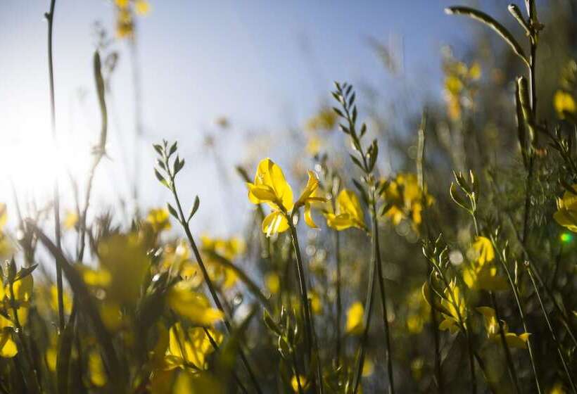 Sunset Paradise Resort