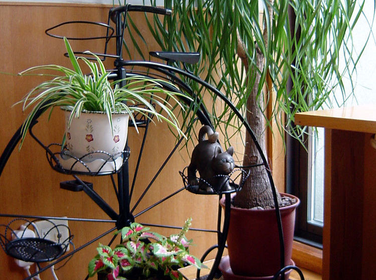 B&b Pension Hakodate Mura