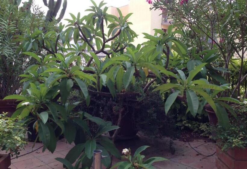 Bed and Breakfast L Orangerie Di Cartia Giovanni