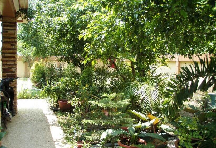 مبيت وإفطار Mariafe Inn