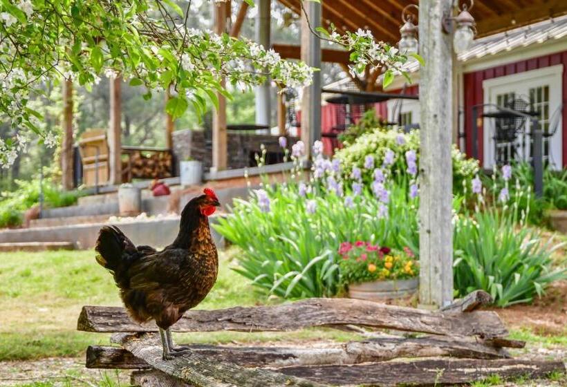 مبيت وإفطار The Farmhouse Inn