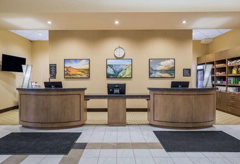 فندق 11, Mod A Sonesta Collection