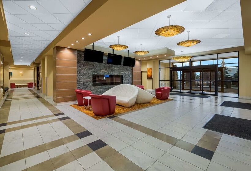 فندق 11, Mod A Sonesta Collection