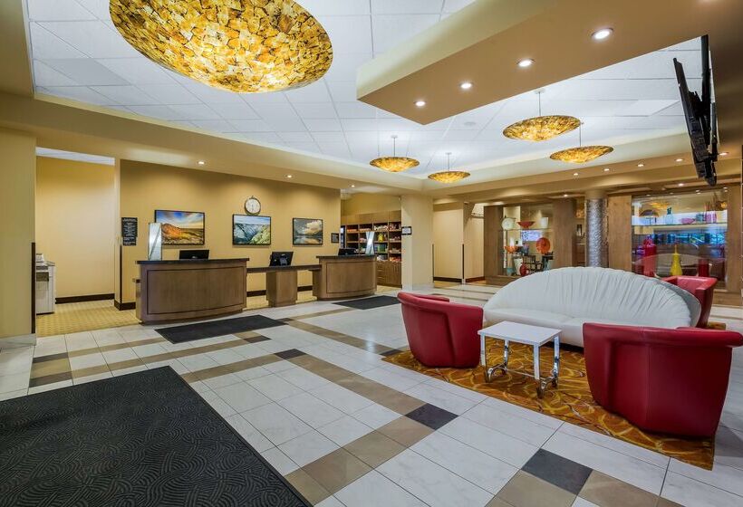 فندق 11, Mod A Sonesta Collection