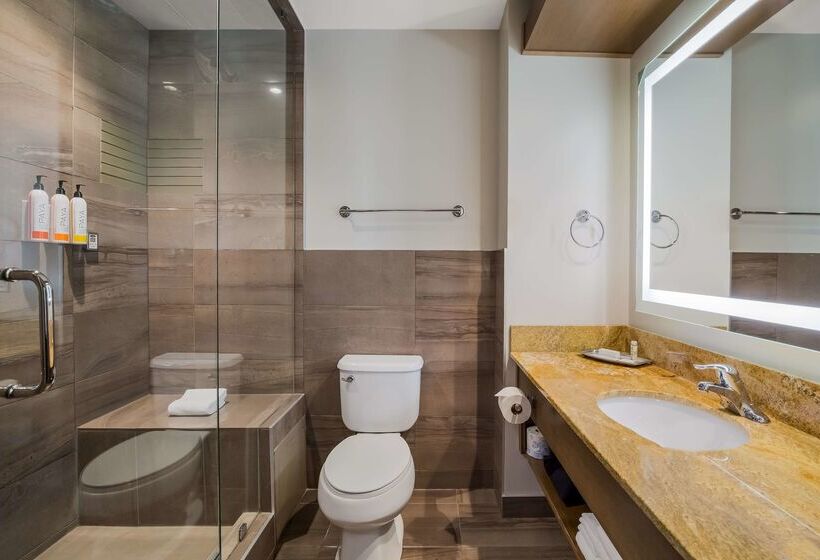 فندق 11, Mod A Sonesta Collection