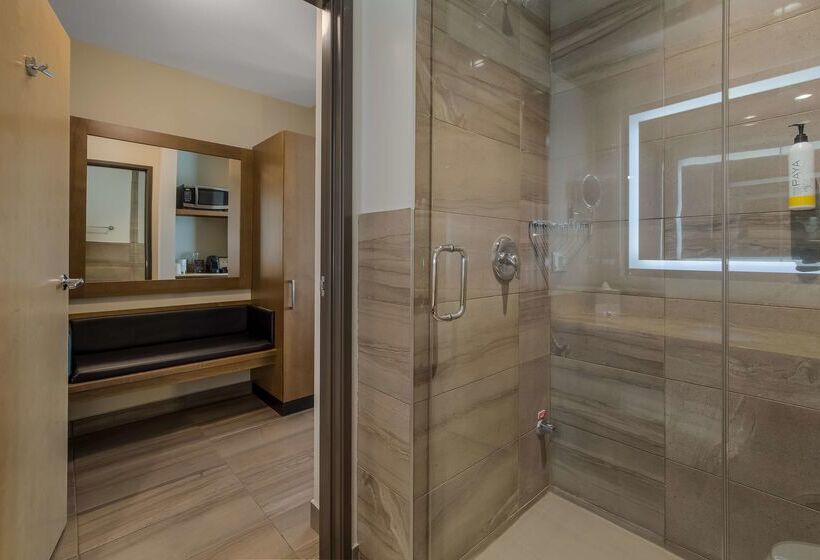 فندق 11, Mod A Sonesta Collection