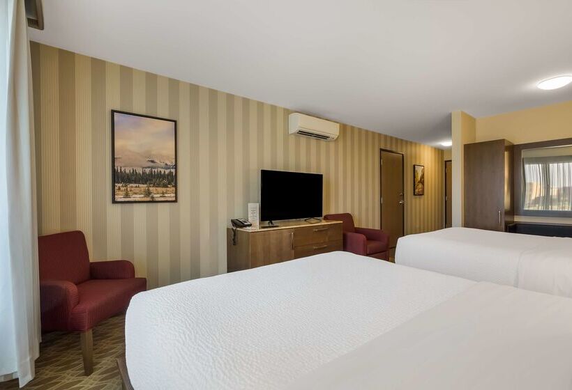 فندق 11, Mod A Sonesta Collection