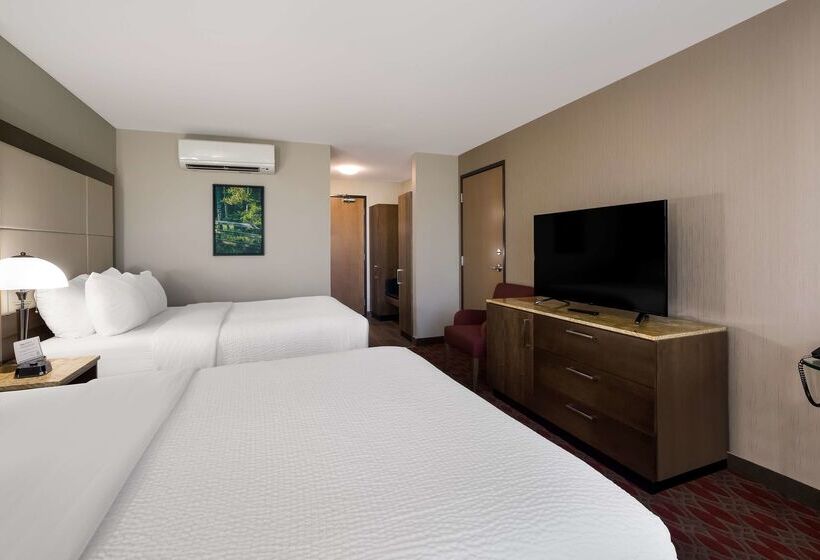 فندق 11, Mod A Sonesta Collection