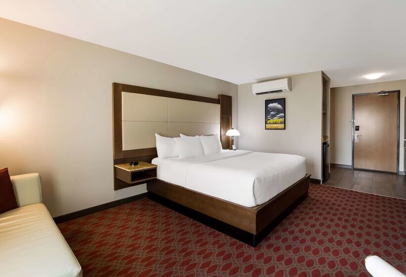 فندق 11, Mod A Sonesta Collection