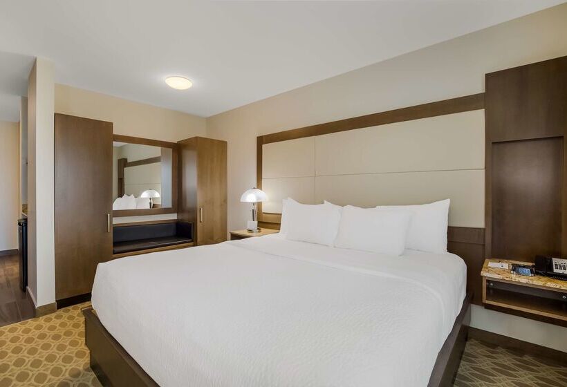 فندق 11, Mod A Sonesta Collection