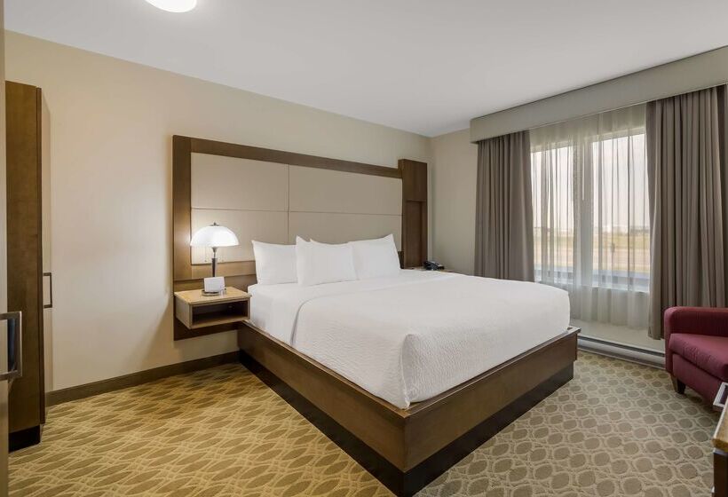 فندق 11, Mod A Sonesta Collection