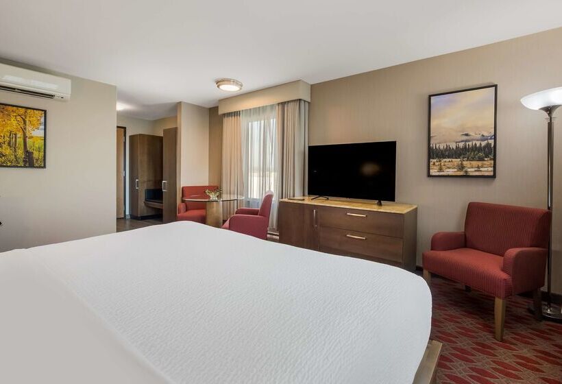 فندق 11, Mod A Sonesta Collection