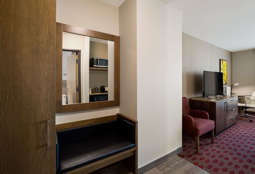 فندق 11, Mod A Sonesta Collection