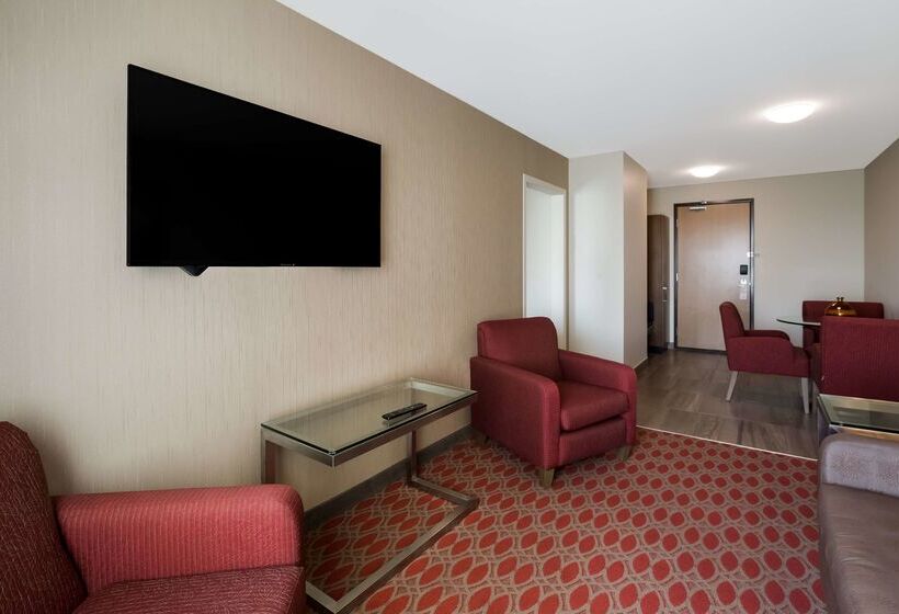 فندق 11, Mod A Sonesta Collection