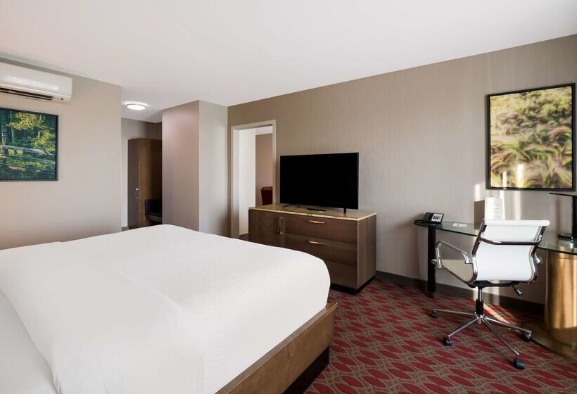 فندق 11, Mod A Sonesta Collection