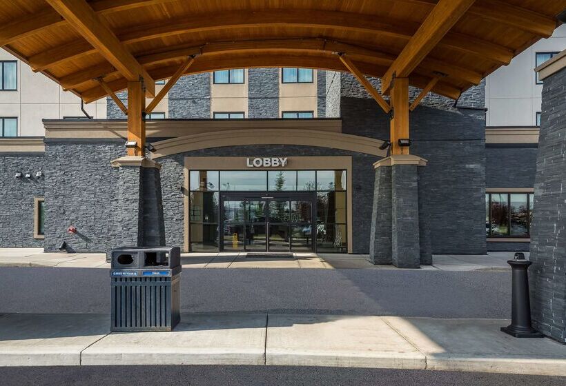 فندق 11, Mod A Sonesta Collection