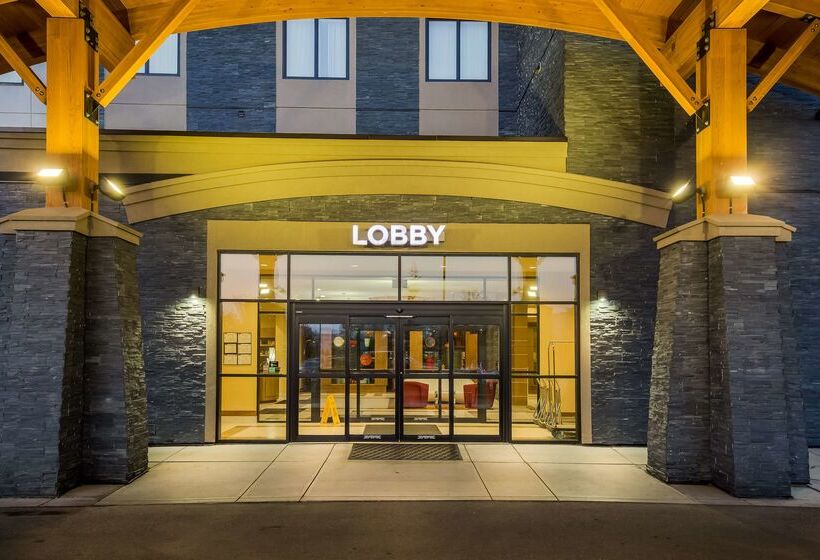 فندق 11, Mod A Sonesta Collection