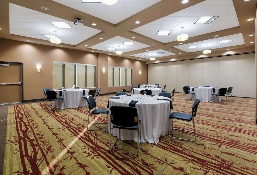 فندق 11, Mod A Sonesta Collection