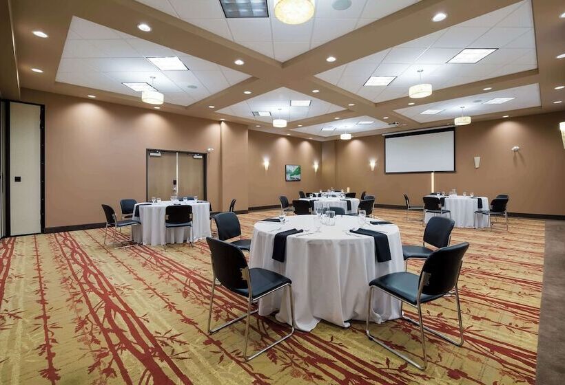 فندق 11, Mod A Sonesta Collection