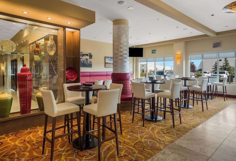 فندق 11, Mod A Sonesta Collection