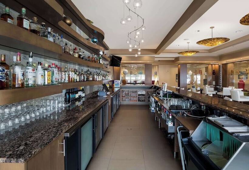 فندق 11, Mod A Sonesta Collection