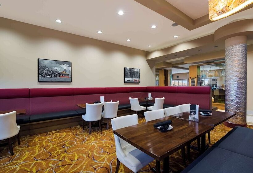 فندق 11, Mod A Sonesta Collection