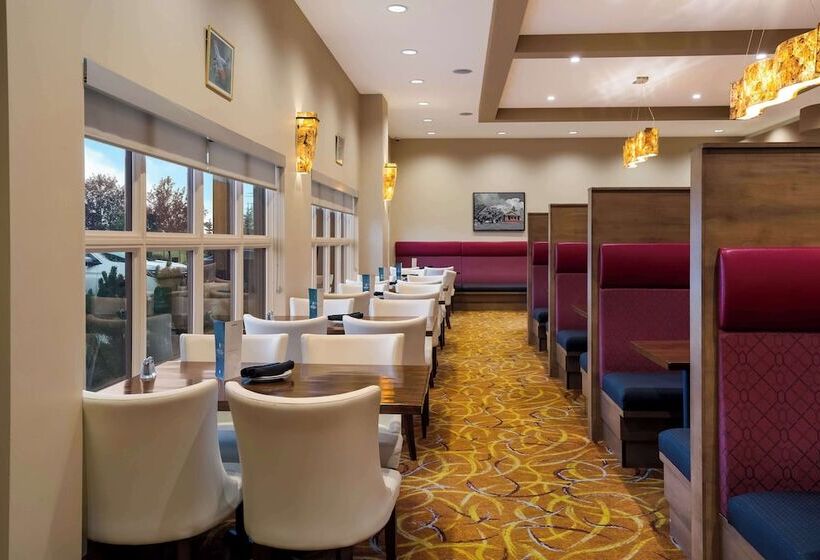 فندق 11, Mod A Sonesta Collection